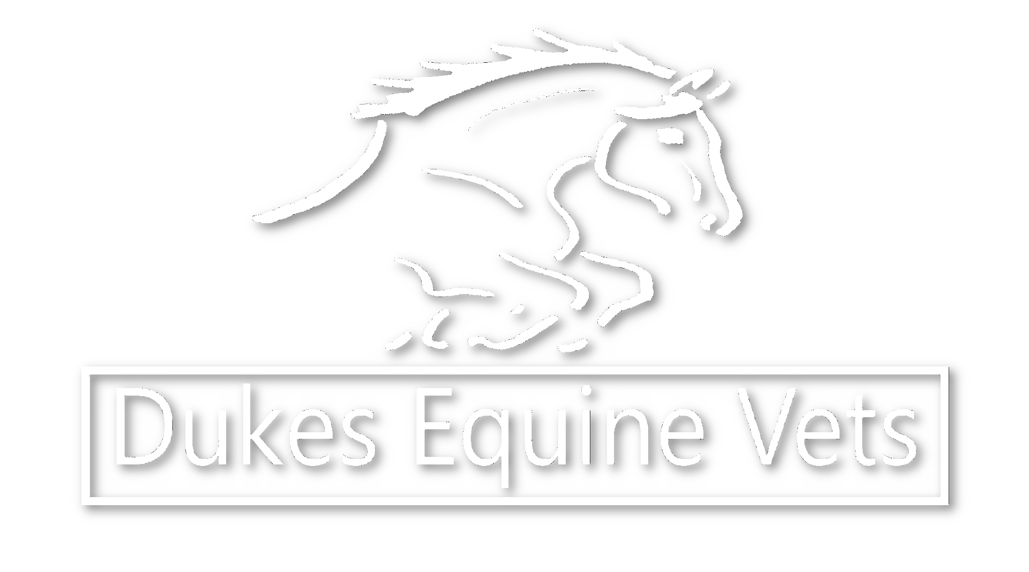 Dukes Equine Vets